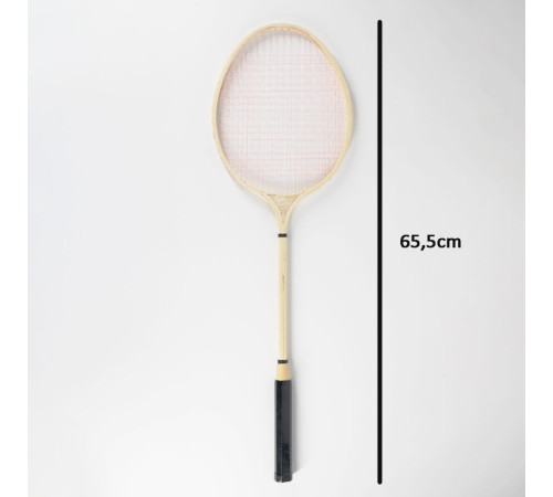 icom ck005317 badminton 