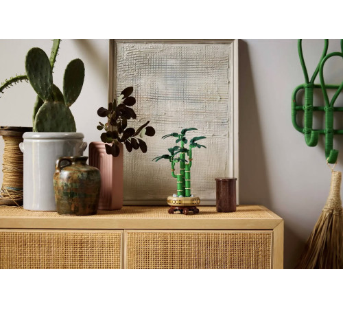 lego botanical collection 10344 constructor "lucky bamboo" (325 el.)