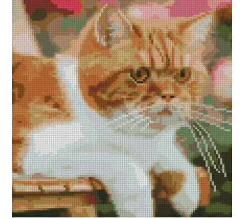  strateg leo ca-0036 Алмазная мозаика "Рыжий кот" (30 x 30 см.)