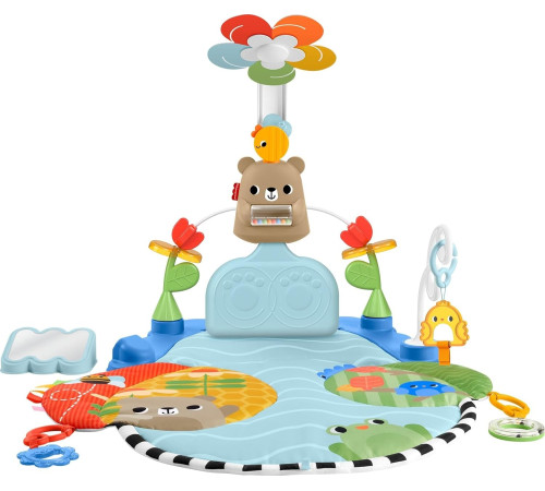 Детский&nbsp;магазин в Кишиневе в Молдове fisher-price hyr60 Коврик с игровым центром "Гармония активного развития"