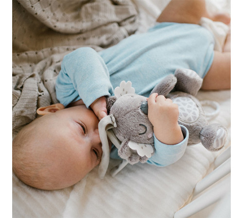 babyono-850 Игрушка музыкальная "Коала Коко" 1632