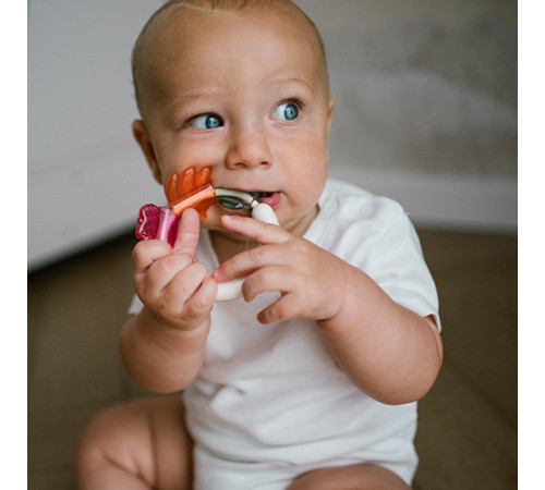 babyono-8699 Погремушка с прорезывателем 1594