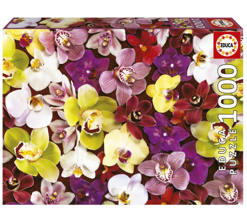 educa 19558 puzzle "orchid collage" (1000el)