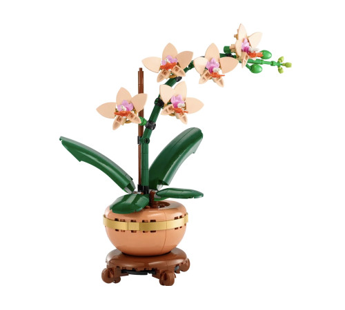 lego botanical collection 10343 constructor "mini orhidee" (274 el.)