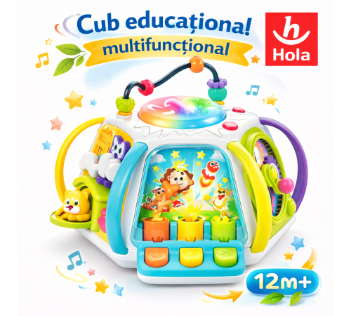 hola toys he8971 cub educativ "&Icirc;nvățare timpurie"