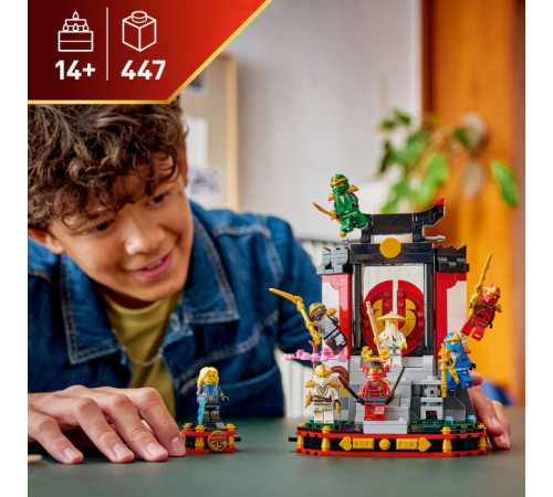 lego ninjago 71866 constructor "model de personaje ninja. 15-a aniversare" (447 el.)