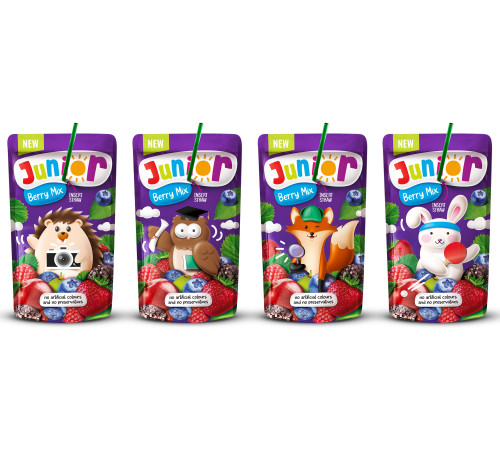 junior bautura cu suc "fructe de padure " (200 ml.)