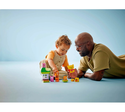 lego duplo 10457 constructor "ziua de naștere a lui winnie the pooh" (22 el.)