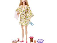 barbie hkt90 papusa barbie "day - spa" cu accesorii