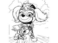 trefl 43007 puzzle 2 în 1+ carte de colorat "paw patrol, skye and marshall" (2x10 el.)