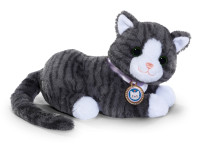 zapf creation 837580 pisicuță interactivă cu cutie baby born "my cat cookie"