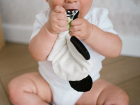 babyono-7406 1538 jucărie moale foșnitoare "panda polly"