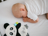 babyono-7406 1538 jucărie moale foșnitoare "panda polly"