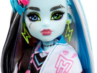 monster high hhk53 Кукла "Фрэнки Штейн" с питомцем