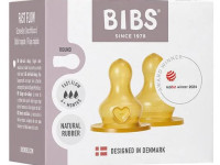 bibs tetină anticolicică din latex (2 buc.) cu flux rapid