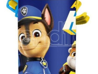 kids licensing pw19994 Алюминиевая бутылка для воды "paw patrol" (600 мл.)