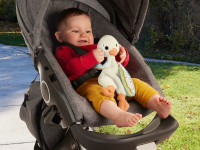 fisher-price hrb16 jucărie moale "gâscă"