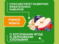 heinz Любопышки Каша многозерновая-йогурт-слива-яблоко-малина-черникa (12 м +) 200 гр.)