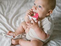 babyono-8698 Погремушка с прорезывателем 1593 