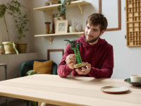 lego botanical collection 10344 constructor "lucky bamboo" (325 el.)