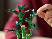 lego botanical collection 10344 constructor "lucky bamboo" (325 el.)