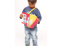 Bontempi 331780 Acordeon cu 17 clape bontempi 331780 acordeon cu 17 clape