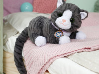 zapf creation 837580 pisicuță interactivă cu cutie baby born "my cat cookie"