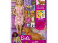 barbie hck75 set de joc barbie "cățeluși nou-născuți"