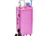 barbie hmh26 papusa "biolog marin" cu accesorii