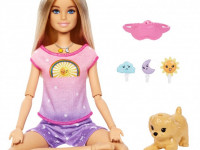 barbie hhx64 papusa barbie "meditatie zi si noapte"