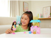 barbie jjb41 set de joacă  "surpriza de ziua lui chelsea"