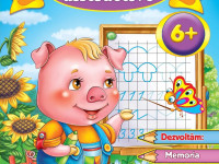 carte "jocuri si activitati distractive 6+" (ro)