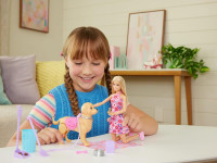 barbie jjb46 păpușa barbie "plimbarea cu cățelușul"