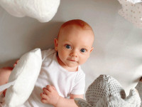 nuby id99613 carusel de pluș "little penguin"