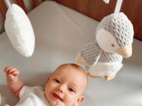 nuby id99613 carusel de pluș "little penguin"