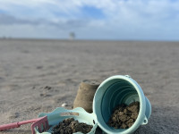 compactoys 99700401 set de nisip compact 7 &icirc;n 1 (verde)