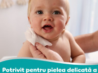 pampers Șervețelele umede 99% water (4х60) 240 buc.