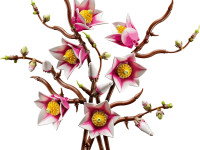 lego botanicals 11510 constructor "crenguțe de magnolie" (435 el.)