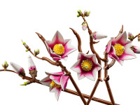 lego botanicals 11510 constructor "crenguțe de magnolie" (435 el.)