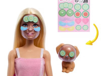barbie hyv31 Игровой набор с куклой "Спа-день"