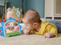 fisher-price jhb45 oglinda portabilă "prop 'n go"