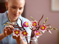 lego botanicals 11510 constructor "crenguțe de magnolie" (435 el.)