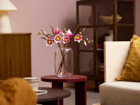 lego botanicals 11510 constructor "crenguțe de magnolie" (435 el.)