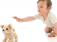 pugs at play pap01 jucărie interactivă "cățeluș chili"