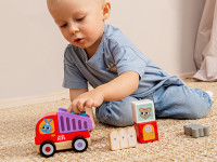 kids hits kh20/016 constructor din lemn "basculantă" (6 el.)