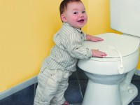 dreambaby f123 dispozitiv pentru blocare capac wc (1 buc.)