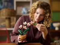 lego botanical collection 10343 constructor "mini orhidee" (274 el.)