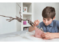 4m 00-03459 set de tânăr arheolog "pteranodon"