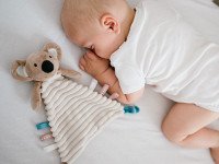 babyono-7407 1559 jucărie de &icirc;mbrățișat "koala charlie"