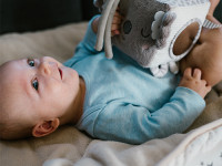 babyono-855 cub senzorial de pluș "koala coco" 1637